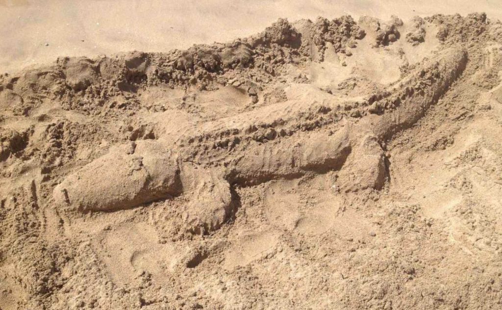 Крокодил из песка.