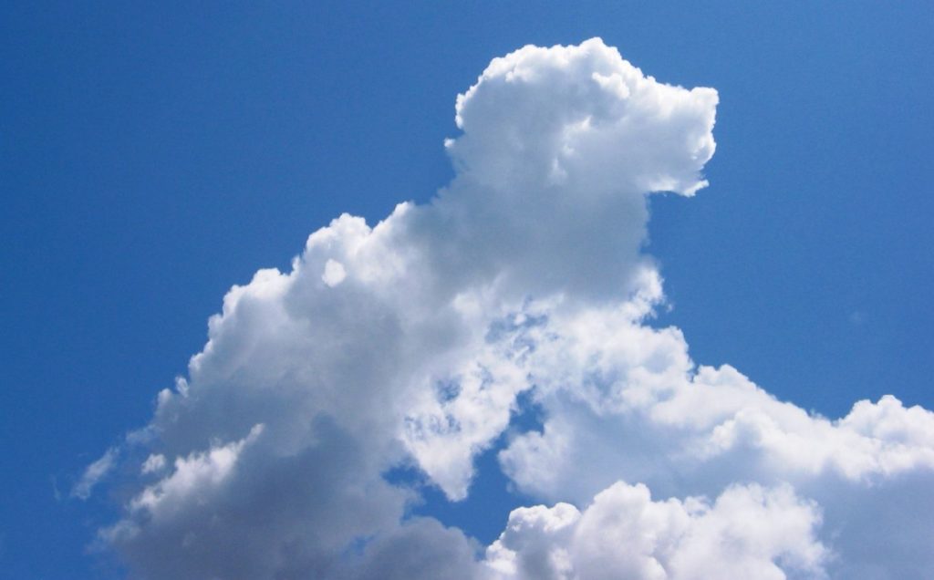 Облака похожие на животных.