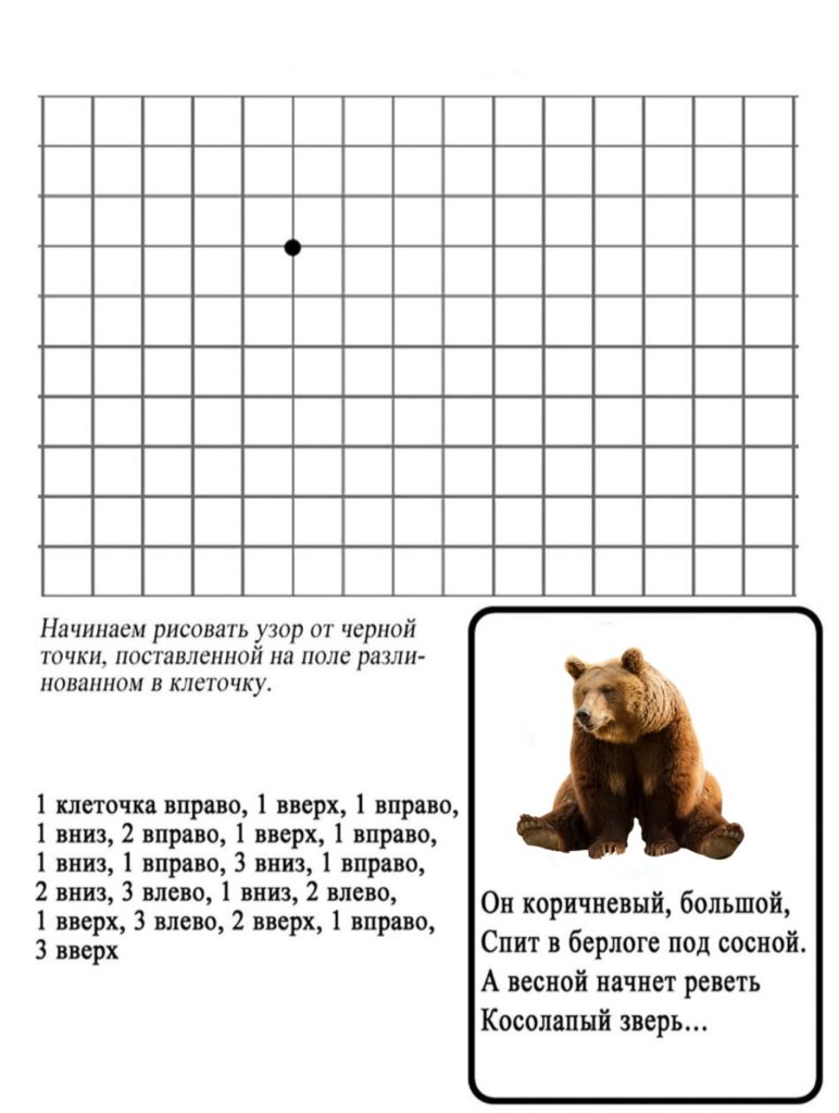 Графический диктант: медведь