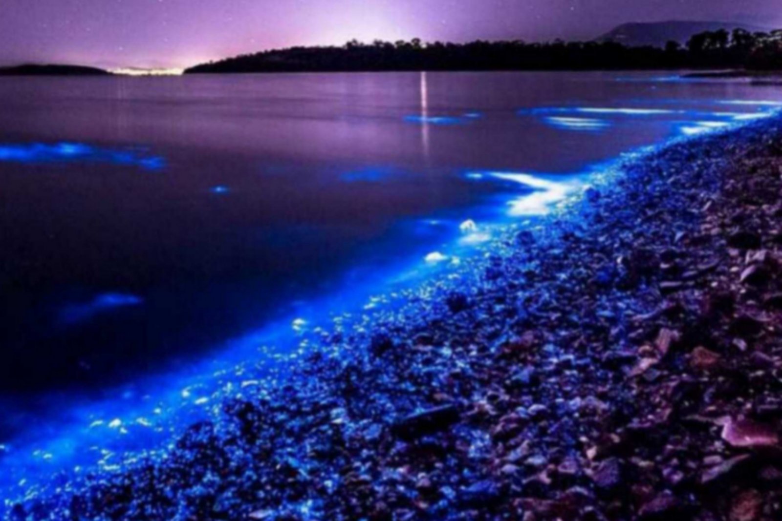 Светящееся море почему светится. Море фосфорится ночью. Море фосфорится ночью в Крыму. Свечение моря. Море светится ночью.